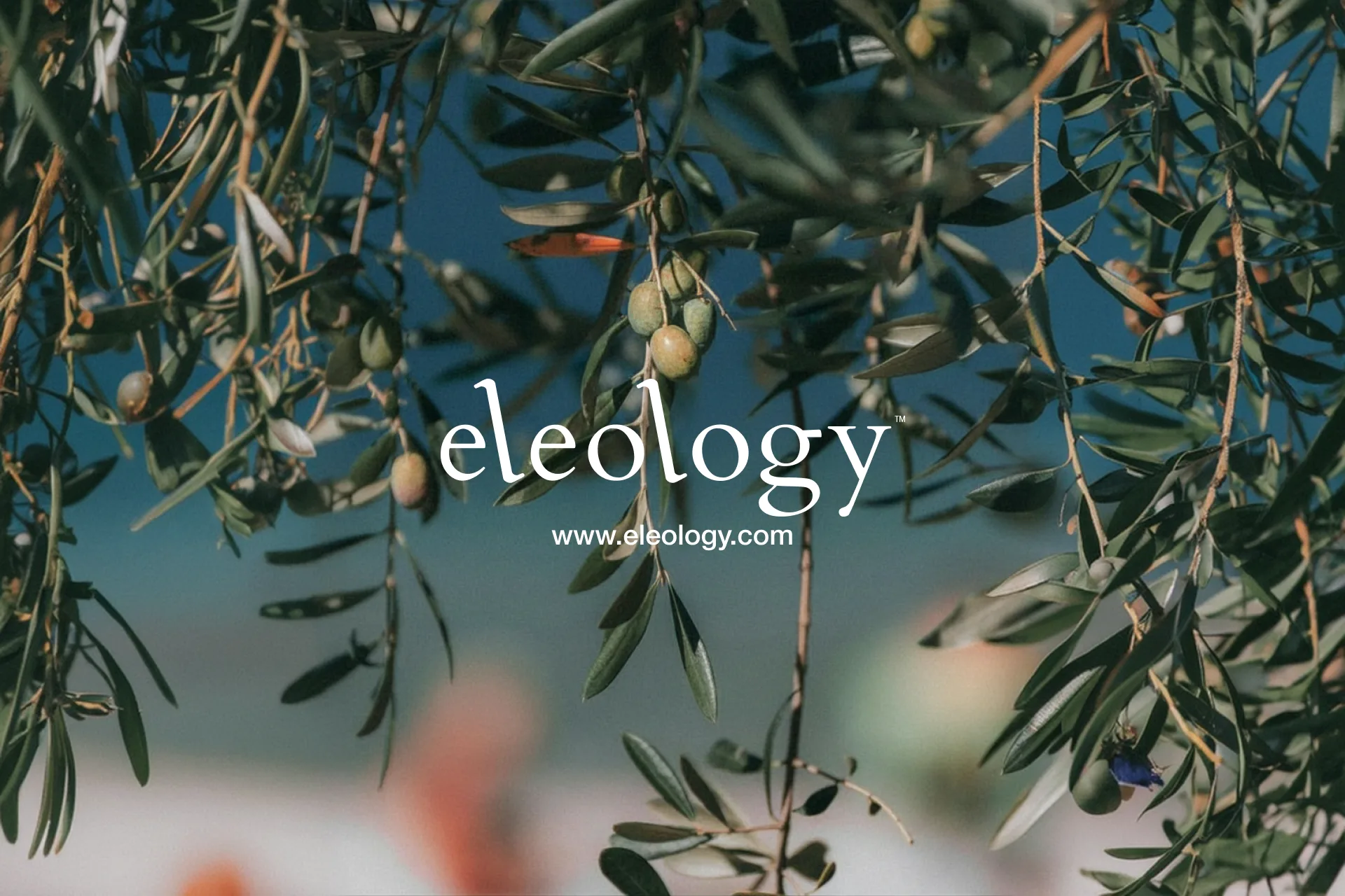 Εleology
